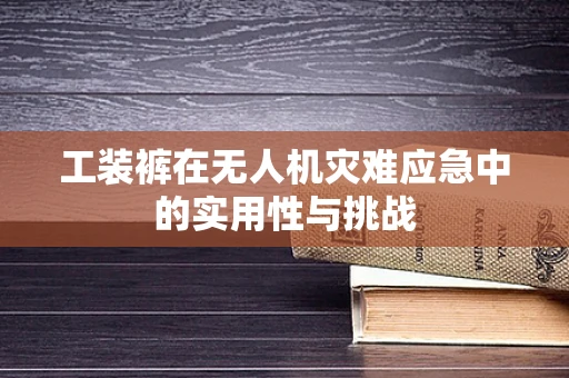 工装裤在无人机灾难应急中的实用性与挑战