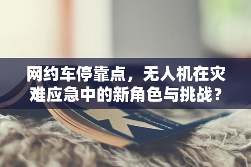 网约车停靠点，无人机在灾难应急中的新角色与挑战？
