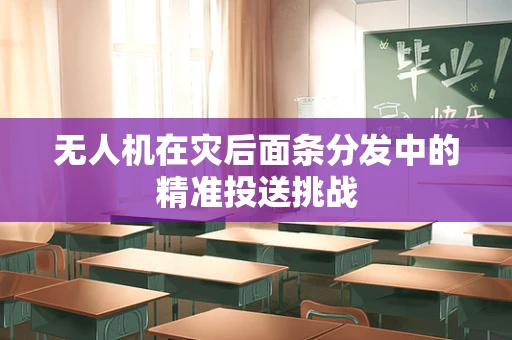 无人机在灾后面条分发中的精准投送挑战