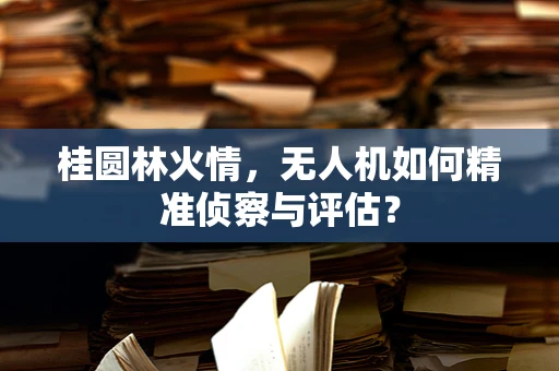 桂圆林火情，无人机如何精准侦察与评估？