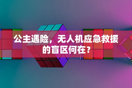 公主遇险，无人机应急救援的盲区何在？