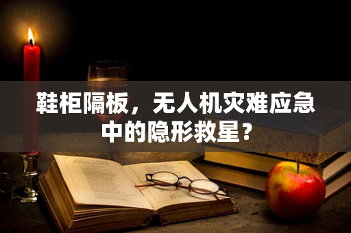 鞋柜隔板，无人机灾难应急中的隐形救星？