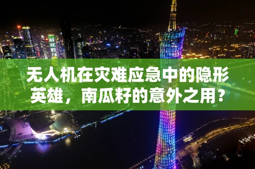 无人机在灾难应急中的隐形英雄，南瓜籽的意外之用？