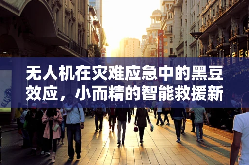无人机在灾难应急中的黑豆效应，小而精的智能救援新思路？