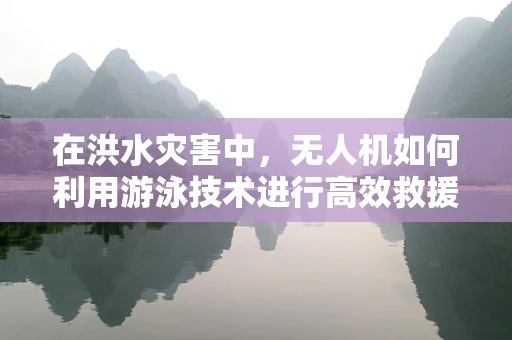 在洪水灾害中，无人机如何利用游泳技术进行高效救援？