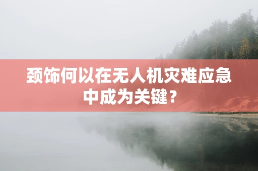 颈饰何以在无人机灾难应急中成为关键？