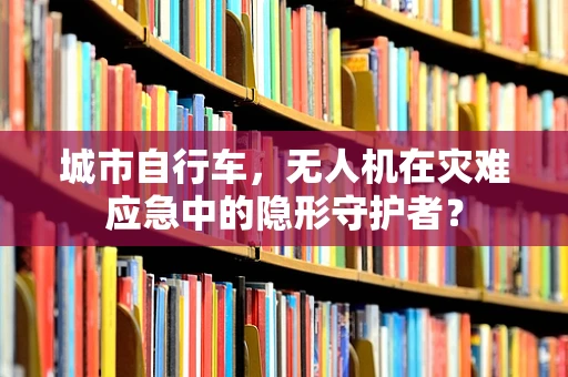 城市自行车，无人机在灾难应急中的隐形守护者？