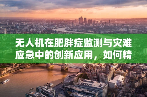 无人机在肥胖症监测与灾难应急中的创新应用，如何精准定位高风险人群？