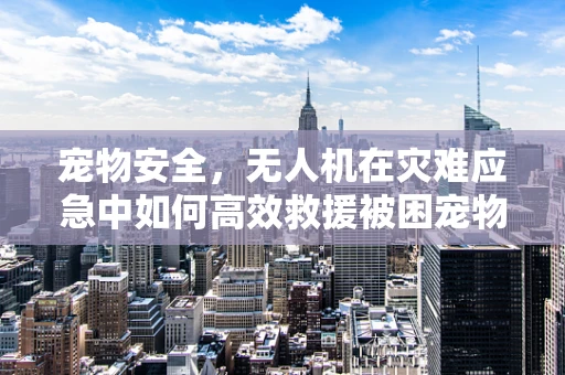 宠物安全，无人机在灾难应急中如何高效救援被困宠物？