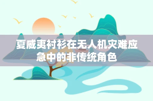 夏威夷衬衫在无人机灾难应急中的非传统角色
