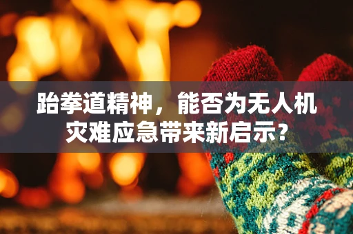 跆拳道精神，能否为无人机灾难应急带来新启示？