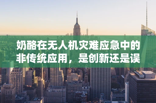 奶酪在无人机灾难应急中的非传统应用，是创新还是误导？