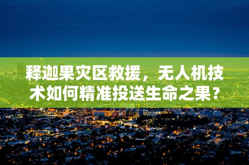 释迦果灾区救援，无人机技术如何精准投送生命之果？
