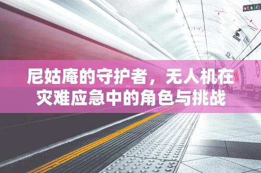 尼姑庵的守护者，无人机在灾难应急中的角色与挑战