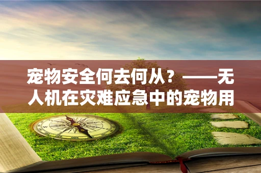 宠物安全何去何从？——无人机在灾难应急中的宠物用品配送挑战