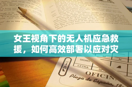 女王视角下的无人机应急救援，如何高效部署以应对灾难？