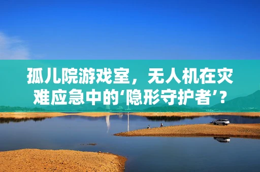 孤儿院游戏室，无人机在灾难应急中的‘隐形守护者’？