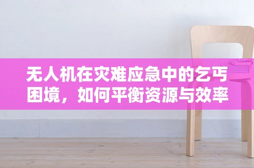 无人机在灾难应急中的乞丐困境，如何平衡资源与效率？