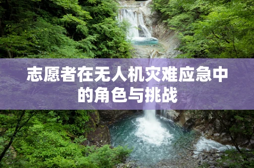 志愿者在无人机灾难应急中的角色与挑战