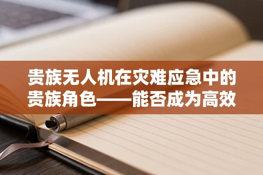 贵族无人机在灾难应急中的贵族角色——能否成为高效救援的秘密武器？