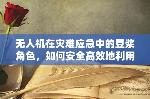 无人机在灾难应急中的豆浆角色，如何安全高效地利用？