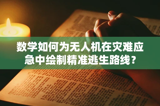 数学如何为无人机在灾难应急中绘制精准逃生路线？
