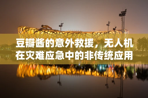 豆瓣酱的意外救援，无人机在灾难应急中的非传统应用？
