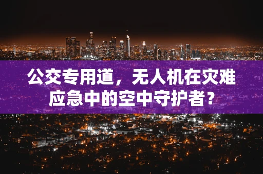 公交专用道，无人机在灾难应急中的空中守护者？
