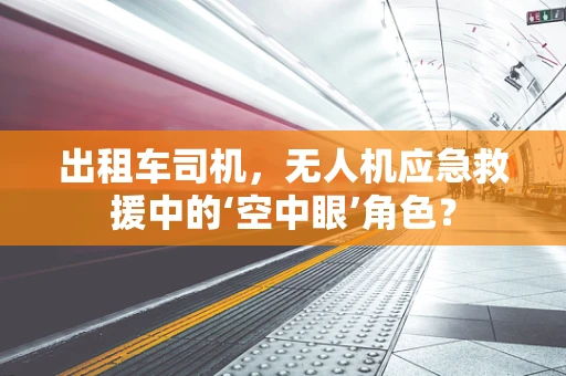出租车司机，无人机应急救援中的‘空中眼’角色？