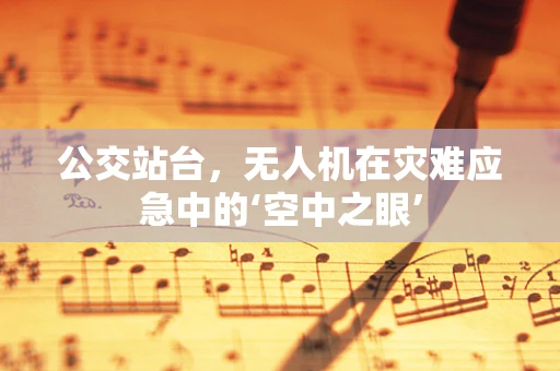 公交站台，无人机在灾难应急中的‘空中之眼’