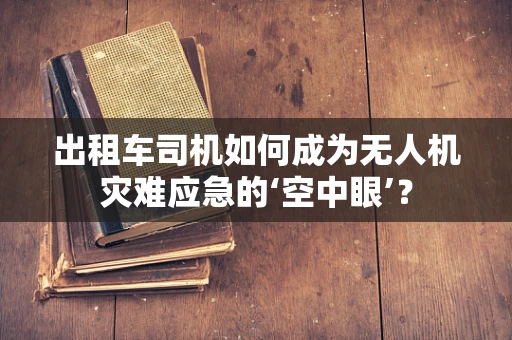 出租车司机如何成为无人机灾难应急的‘空中眼’？