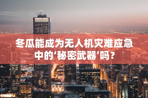 冬瓜能成为无人机灾难应急中的‘秘密武器’吗？
