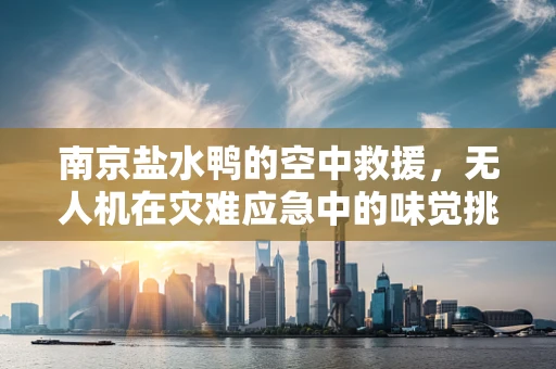 南京盐水鸭的空中救援，无人机在灾难应急中的味觉挑战