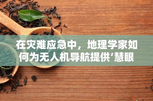 在灾难应急中，地理学家如何为无人机导航提供‘慧眼’？