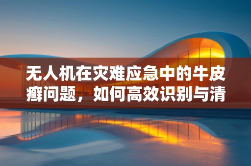 无人机在灾难应急中的牛皮癣问题，如何高效识别与清除？