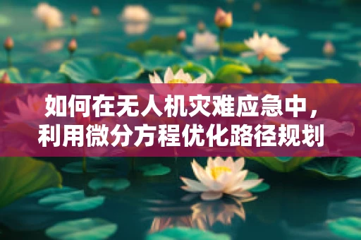 如何在无人机灾难应急中，利用微分方程优化路径规划？