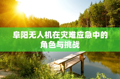 阜阳无人机在灾难应急中的角色与挑战