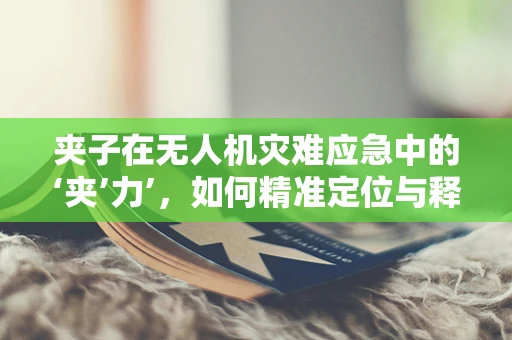 夹子在无人机灾难应急中的‘夹’力’，如何精准定位与释放？
