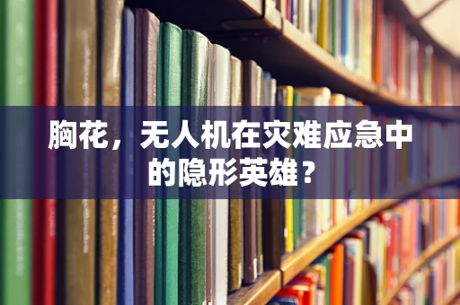 胸花，无人机在灾难应急中的隐形英雄？