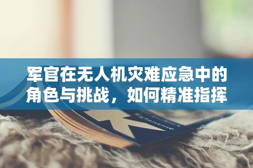 军官在无人机灾难应急中的角色与挑战，如何精准指挥，高效救援？