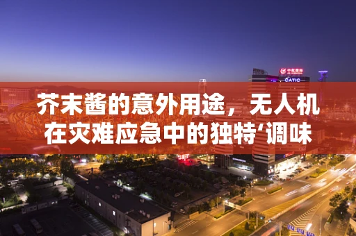 芥末酱的意外用途，无人机在灾难应急中的独特‘调味’