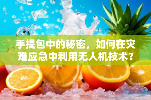 手提包中的秘密，如何在灾难应急中利用无人机技术？