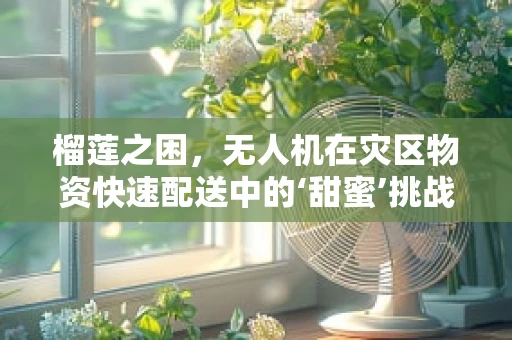 榴莲之困，无人机在灾区物资快速配送中的‘甜蜜’挑战