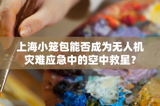 上海小笼包能否成为无人机灾难应急中的空中救星？