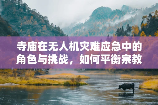 寺庙在无人机灾难应急中的角色与挑战，如何平衡宗教文化与救援效率？