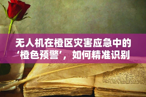 无人机在橙区灾害应急中的‘橙色预警’，如何精准识别与快速响应？