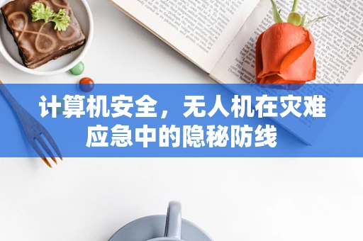 计算机安全，无人机在灾难应急中的隐秘防线