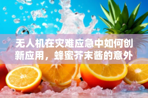 无人机在灾难应急中如何创新应用，蜂蜜芥末酱的意外启示？
