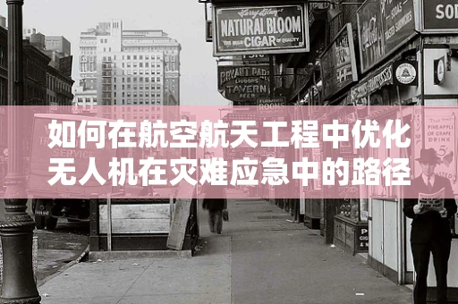 如何在航空航天工程中优化无人机在灾难应急中的路径规划？