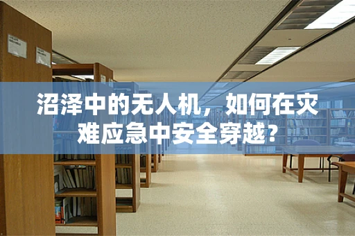 沼泽中的无人机，如何在灾难应急中安全穿越？